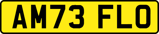 AM73FLO