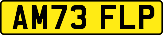 AM73FLP