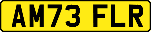 AM73FLR