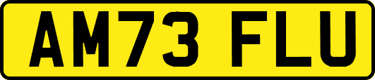 AM73FLU