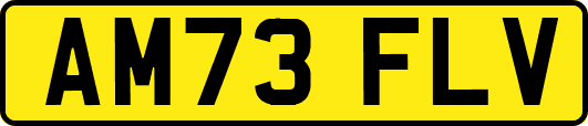 AM73FLV