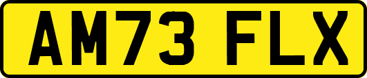 AM73FLX