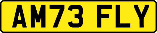 AM73FLY