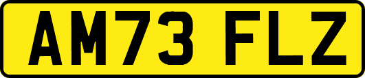 AM73FLZ