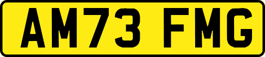 AM73FMG