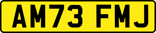 AM73FMJ