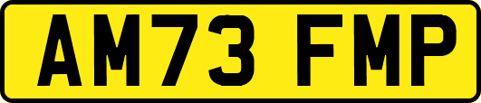 AM73FMP