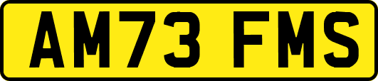 AM73FMS