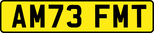 AM73FMT