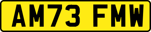 AM73FMW