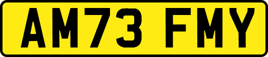 AM73FMY