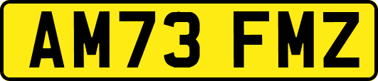 AM73FMZ