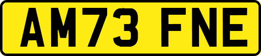 AM73FNE