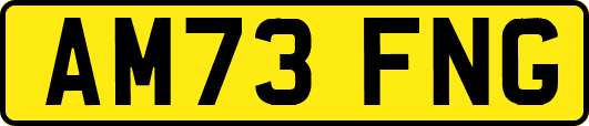 AM73FNG