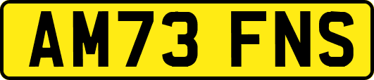 AM73FNS