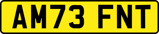 AM73FNT