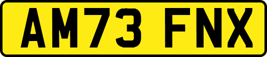 AM73FNX