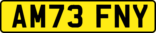 AM73FNY