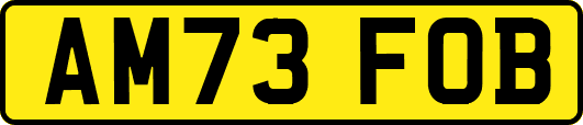 AM73FOB
