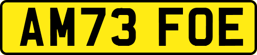 AM73FOE