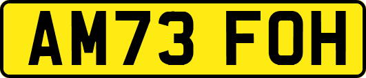 AM73FOH