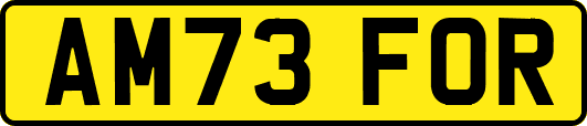 AM73FOR