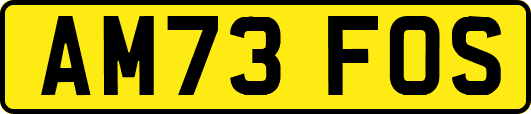 AM73FOS