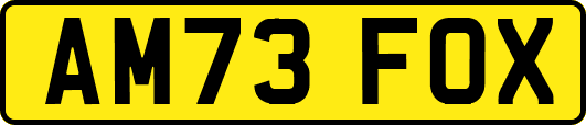 AM73FOX