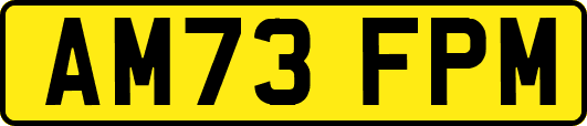 AM73FPM