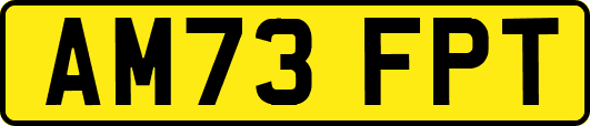 AM73FPT