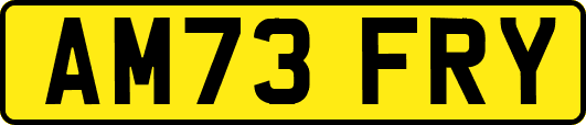 AM73FRY
