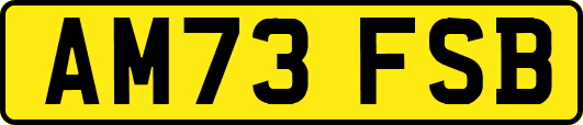 AM73FSB