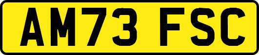 AM73FSC