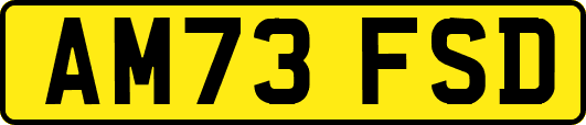 AM73FSD