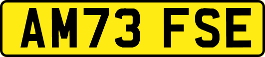AM73FSE