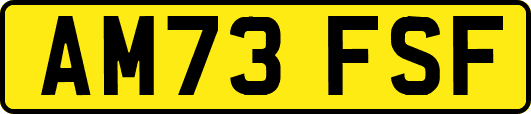 AM73FSF