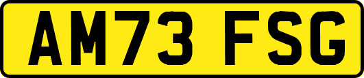 AM73FSG