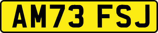 AM73FSJ