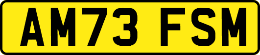AM73FSM