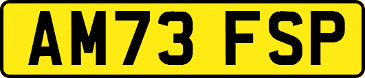 AM73FSP