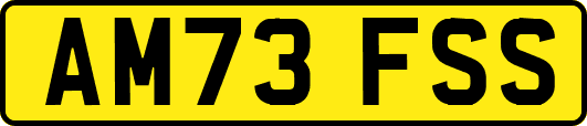 AM73FSS