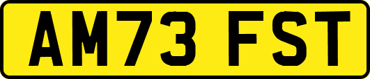 AM73FST