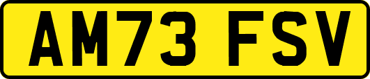 AM73FSV