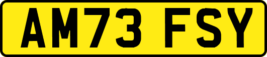 AM73FSY