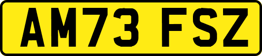 AM73FSZ