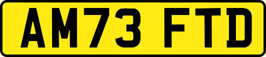 AM73FTD
