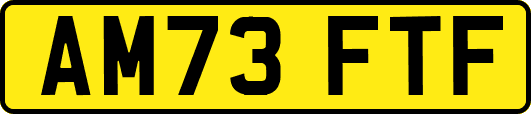 AM73FTF