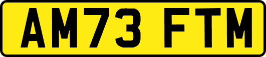 AM73FTM