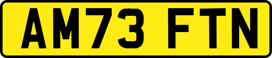 AM73FTN