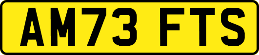 AM73FTS